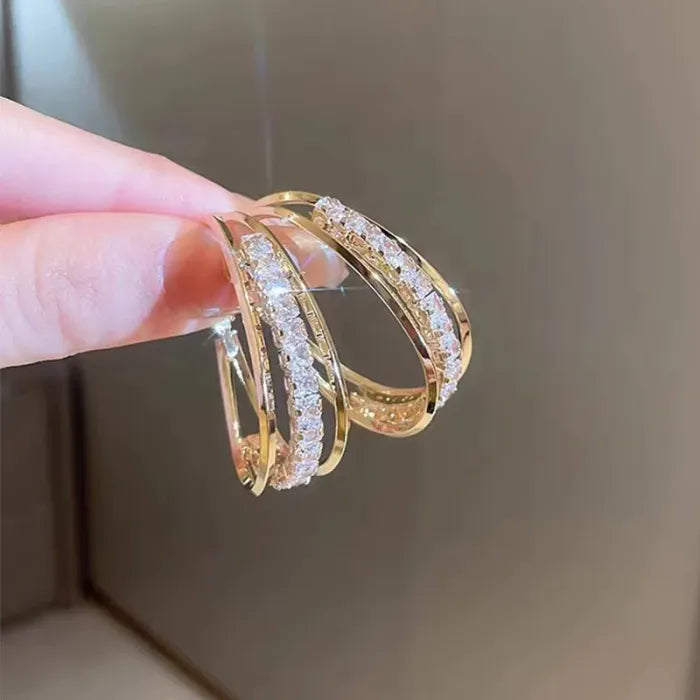 š„LAST DAY SALE-80% OFF)TAILEDEN⢠Lymphatic activity hoop earrings
